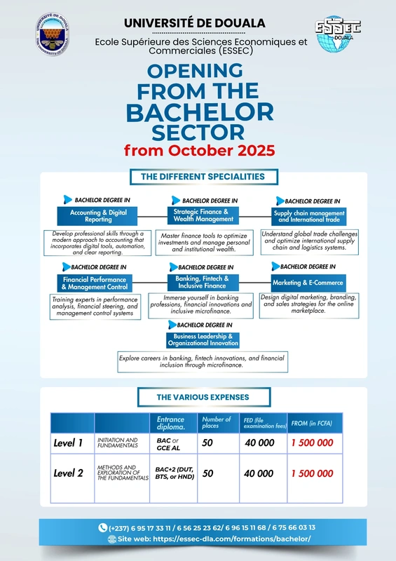 Bachelor ESSEC De DOUALA