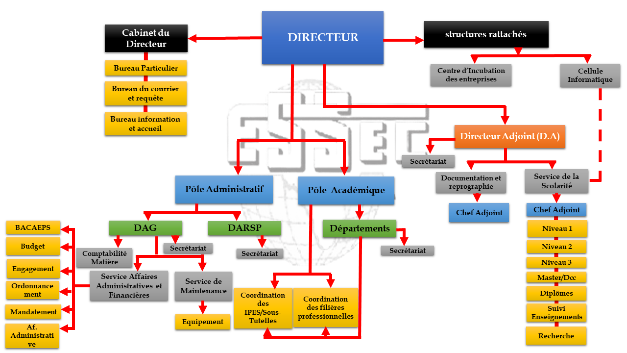 Organigramme détaillé de l'ESSEC Douala - Structure administrative et hiérarchique