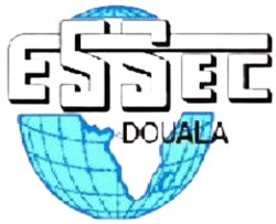 Logo ESSEC Douala - École Supérieure des Sciences Économiques et Commerciales